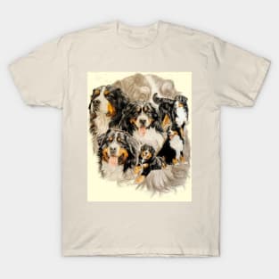 Bernese Medlody T-Shirt